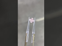 (ليلي كوت روز) (ديماند)